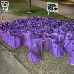 bags of essentials